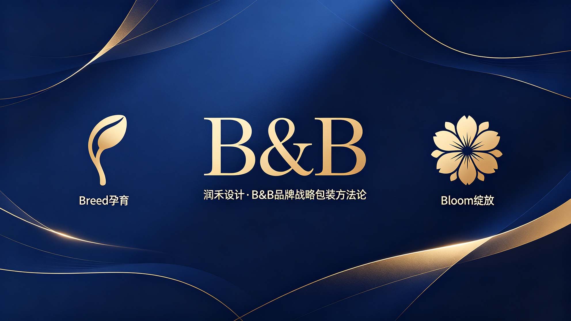 润禾设计B&B品牌战略包装方法论配图方案 拷贝.jpg